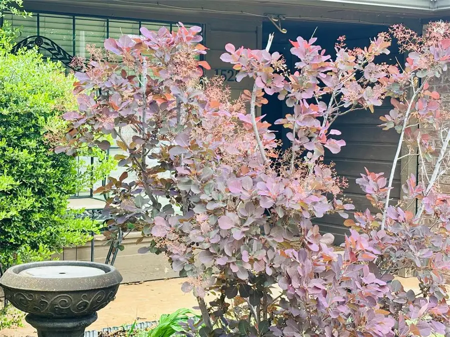 1525 Davinbrook Drive, Norman, OK 73072 - #2