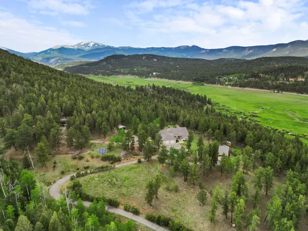 3763 County Road 43, Bailey, CO 80421