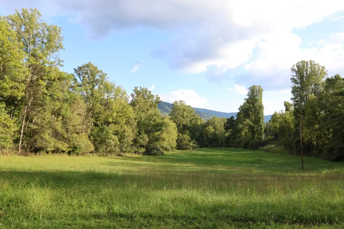0 Puppy Creek Road, Amherst, VA 24521 - #1