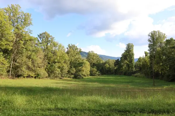 0 Puppy Creek Road, Amherst, VA 24521