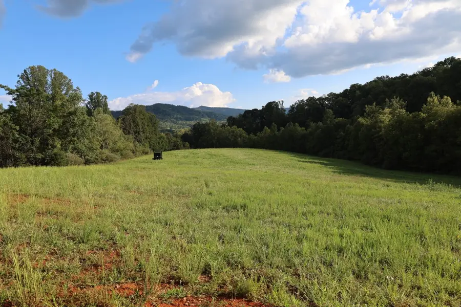 0 Puppy Creek Road, Amherst, VA 24521 - #2