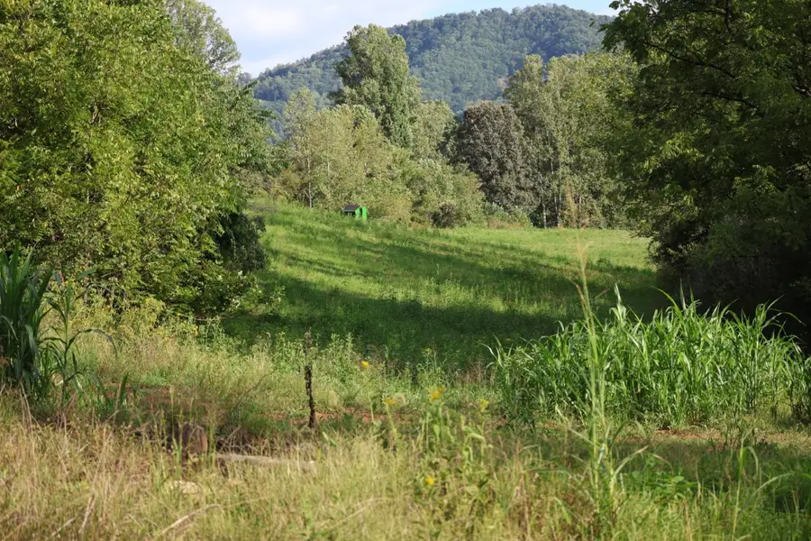 0 Puppy Creek Road, Amherst, VA 24521 - #3
