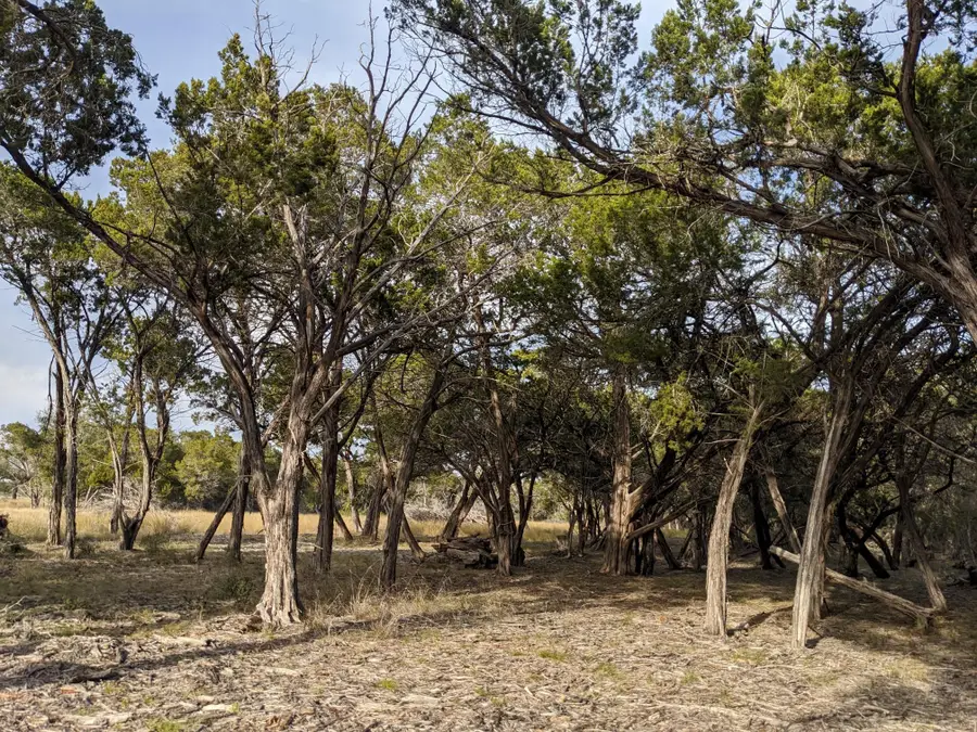 Lot 52 Clearwater Canyon Rd, Bandera, TX 78003 - #2