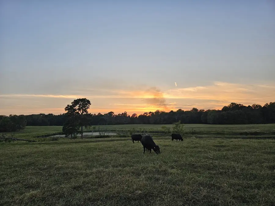 000 Little Egypt Rd, Tuscumbia, AL 35674 - #3