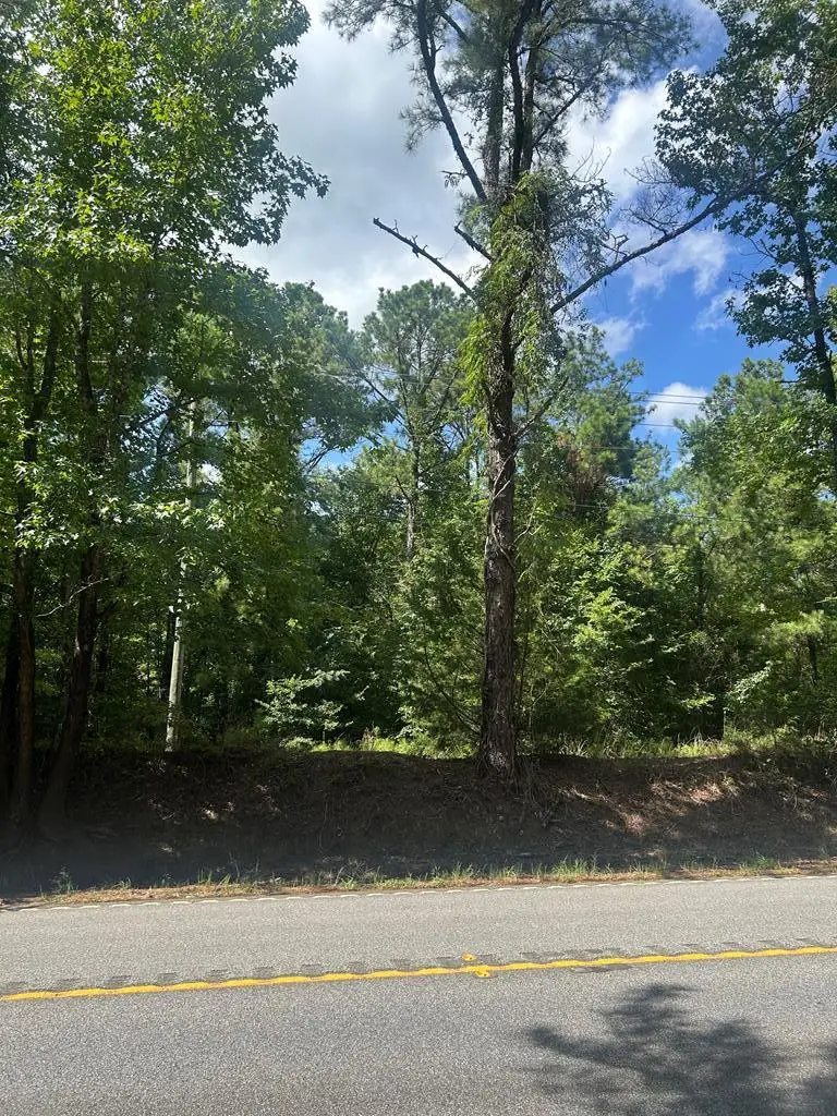 999 Highway 0315 East, Waverly Hall, GA 31831 - #1