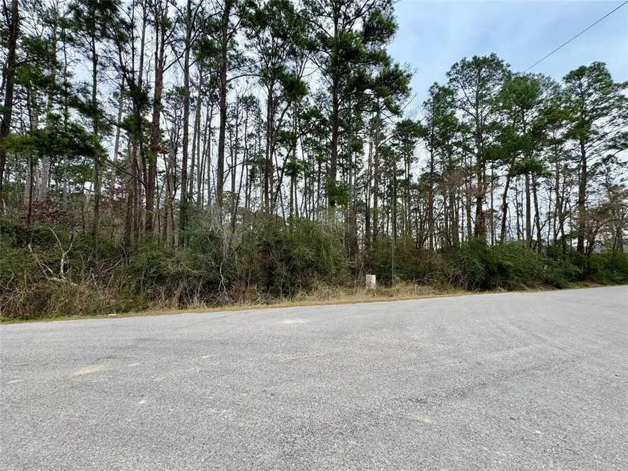 LOT 107 Whisperwood Drive, Onalaska, TX 77360 - Image #2