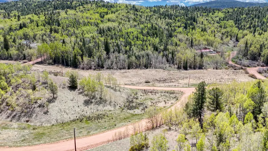 2031 Gold King Drive, Cripple Creek, CO 80813 - #3