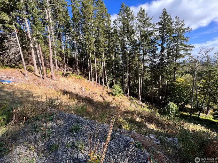 3010 Hales Passage Drive #73, 74, 75, 76, Lummi Island, WA 98262 - Image #3