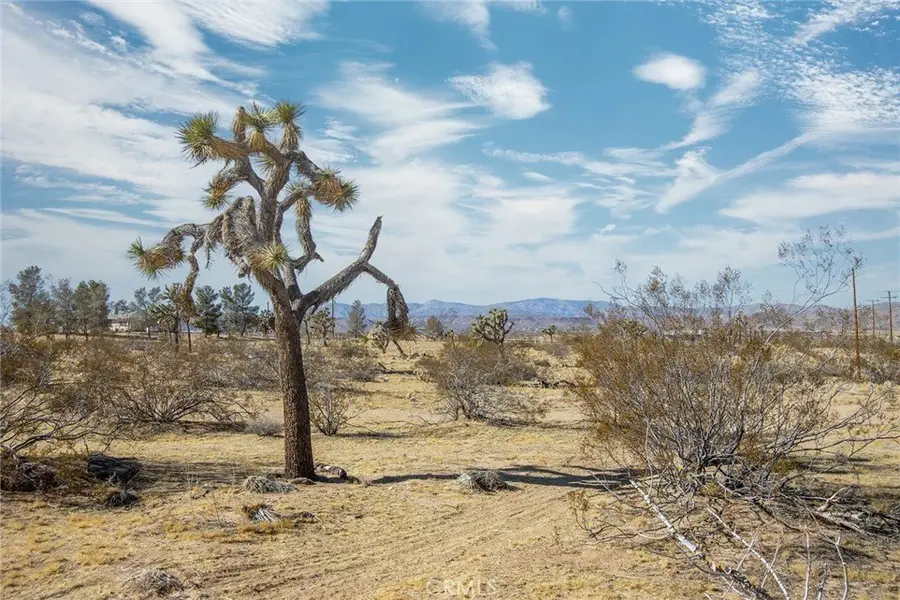 4 Burke Road, Landers, CA 92285 - #2