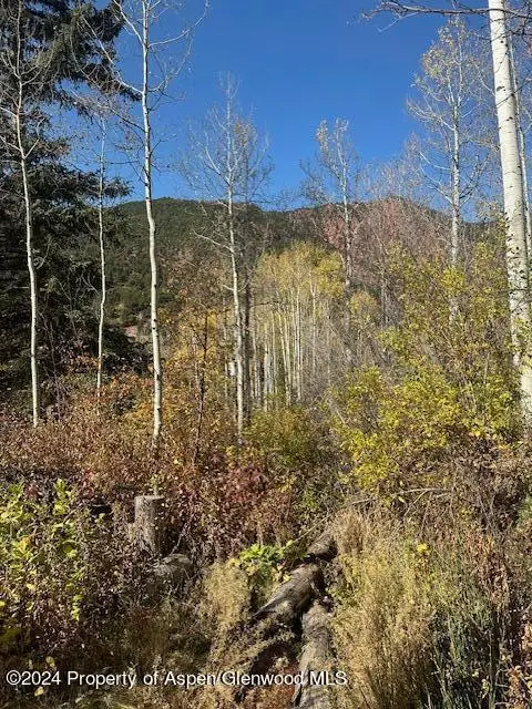 349 Crystal Circle, Carbondale, CO 81623