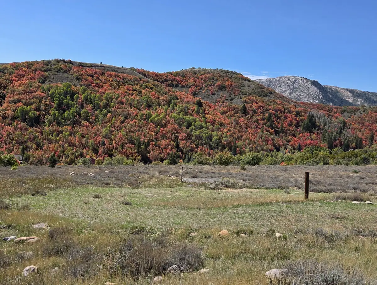 13075 E Pine Canyon Rd #345, Huntsville, UT 84317 - #1