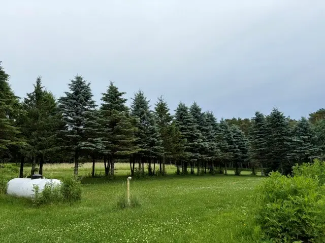 157014 RESTLAWN ROAD, Wausau, WI 54403 - #2