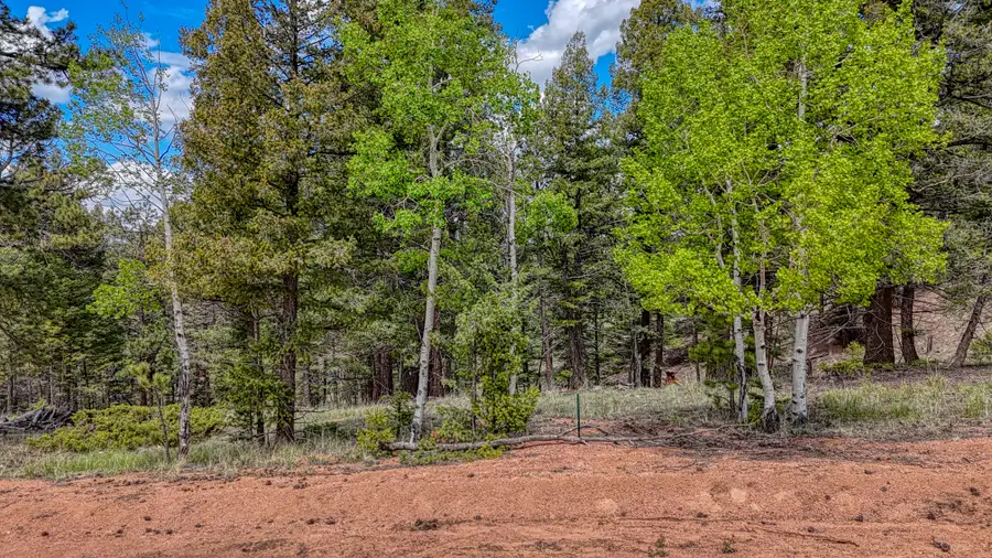 26 N Eldorado Circle, Florissant, CO 80816 - Image #3