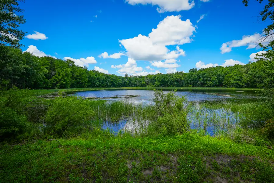 9411 Maple Hill Road, Howard City, MI 49329 - #3