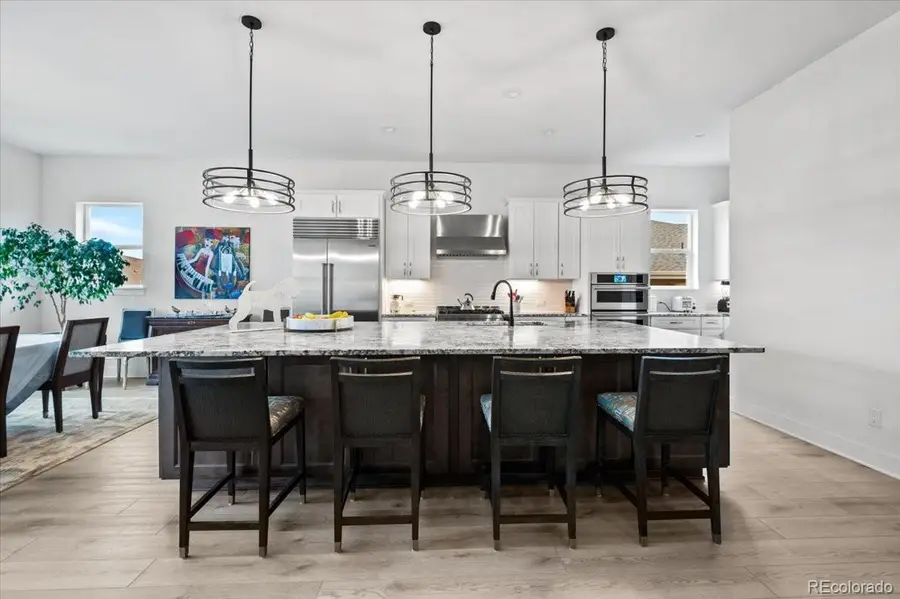 734 Alumroot Street, Castle Rock, CO 80104 - #3