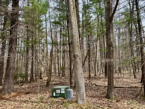 6810 E Clubhouse Drive #142, Canadian Lakes, MI 49346