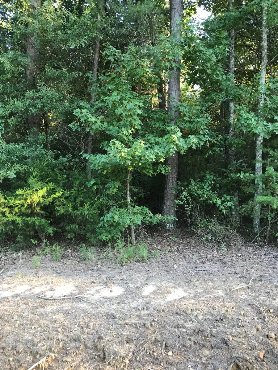 lot 30 County Road 279, Moulton, AL 35650 - Image #2