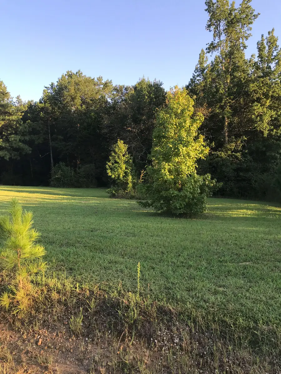 lot 30 County Road 279, Moulton, AL 35650 - Image #3