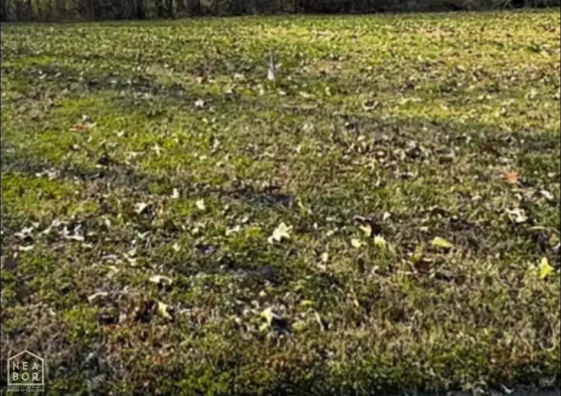 1517 Granger, Jonesboro, AR 72405 - #1