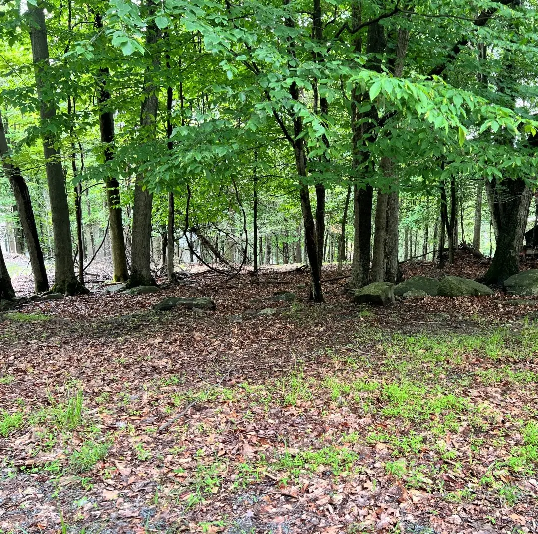 20 Mustang Road, Wallenpaupack Lake Estates, PA 18438 - Image #1