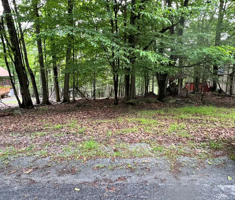 20 Mustang Road, Wallenpaupack Lake Estates, PA 18438 - Image #2