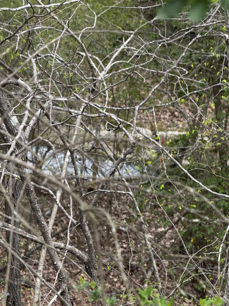 Lot 31 Forest View Circle, Hot Springs, AR 71913 - #2