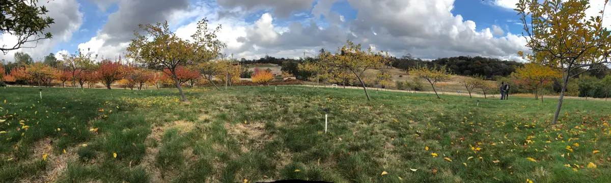 2105 Precision Place, Auburn, CA 95603 - #1