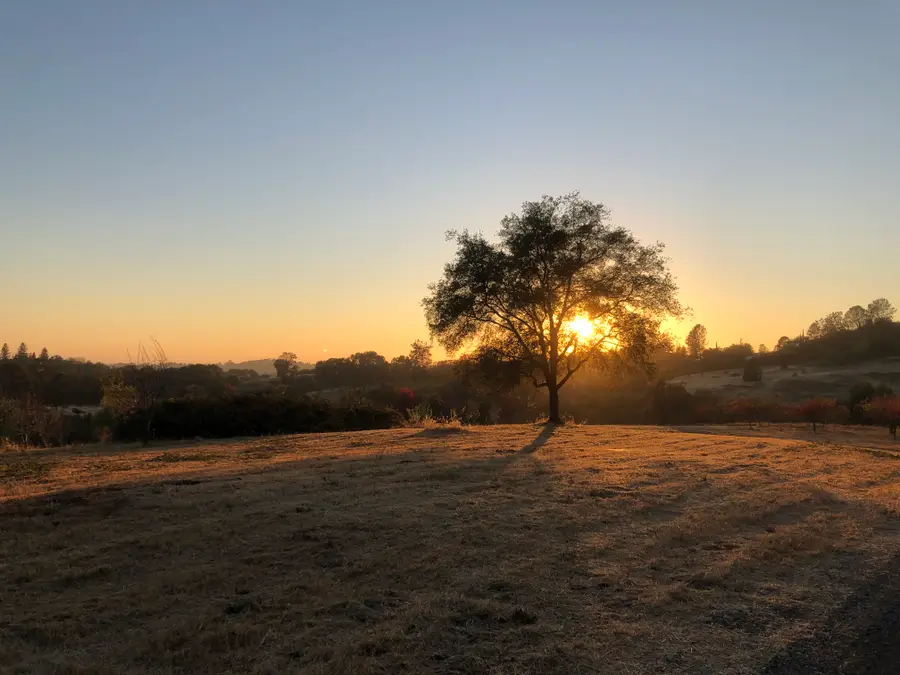 2105 Precision Place, Auburn, CA 95603 - #3