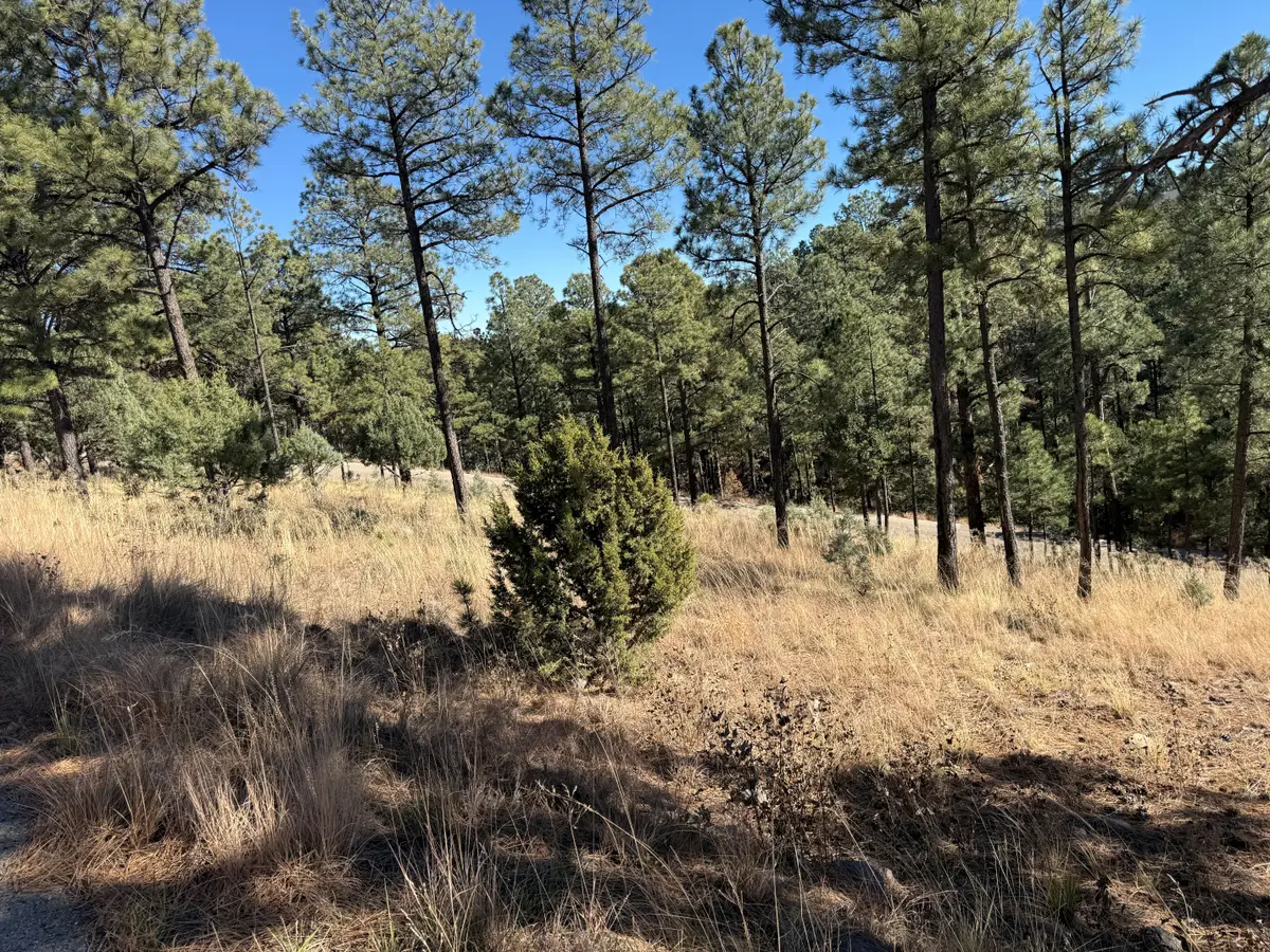 Lot 6 El Camino, Alto, NM 88312 - #1