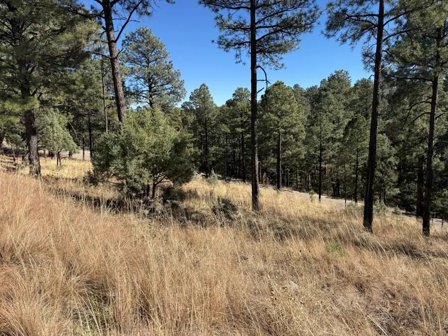 Lot 6 El Camino, Alto, NM 88312 - #2