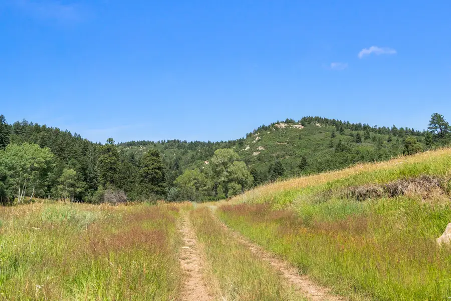 12954 Kuehster Road, Littleton, CO 80127 - Image #3