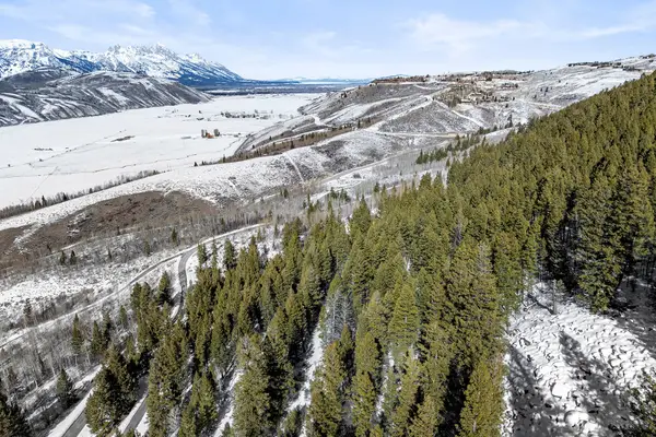 990 W Pine Siskin Road, Jackson, WY 83001