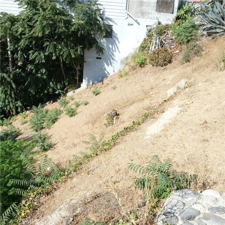 6682 Whitley Terrace, Los Angeles, CA 90068 - Image #2