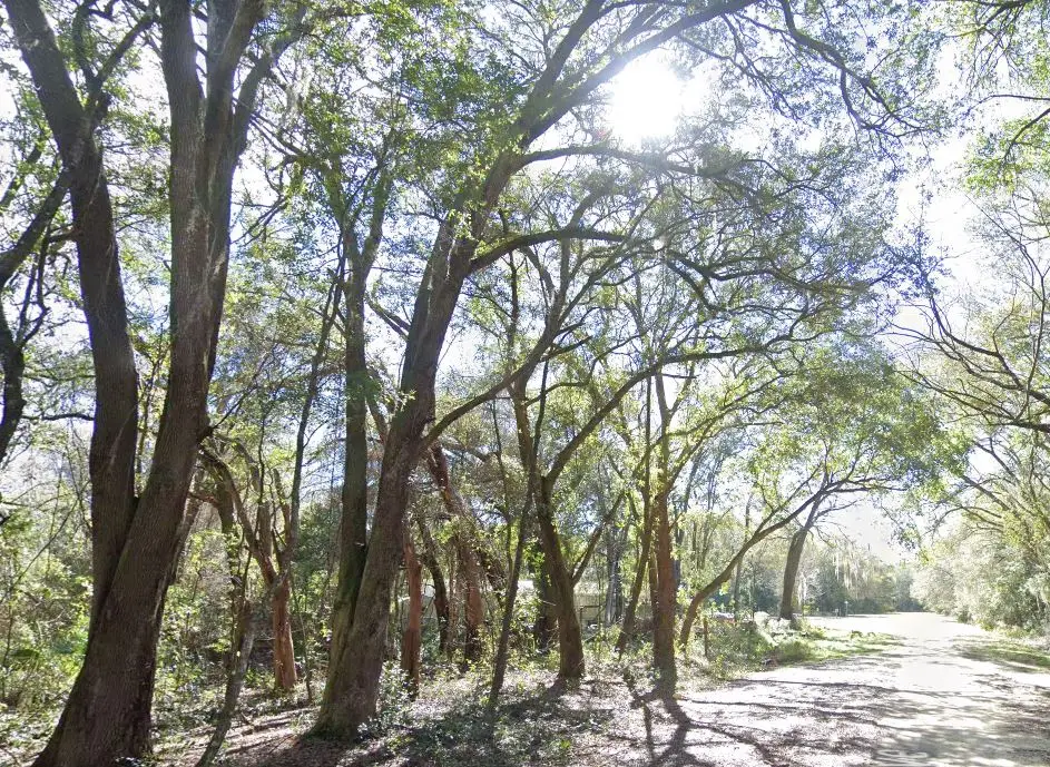 LOTS 6 & 7 Gladys Avenue, Interlachen, FL 32148 - Image #1