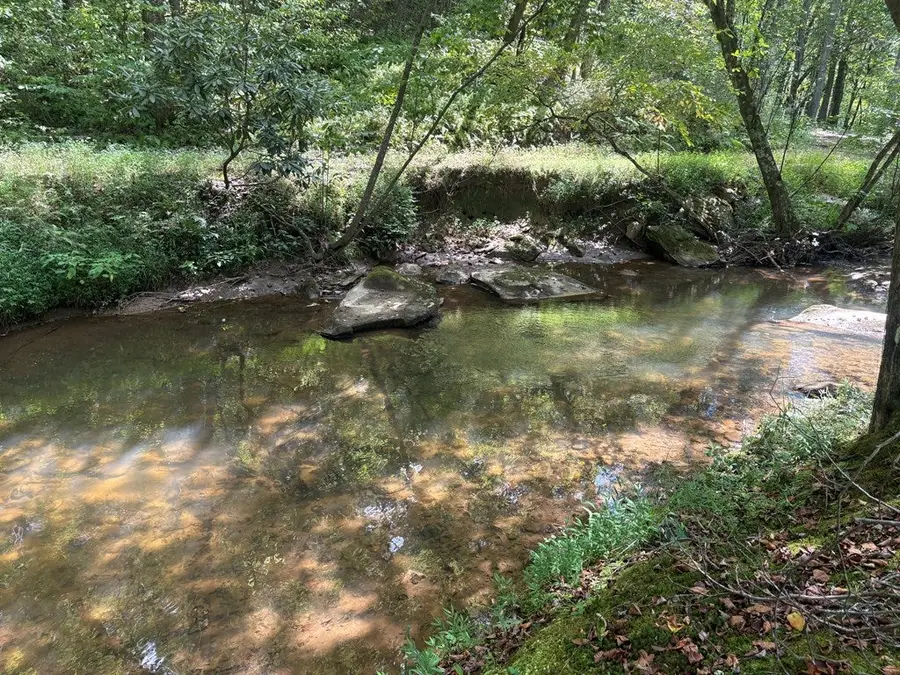 141 Friendship Lane, Mineral Bluff, GA 30559 - Image #2