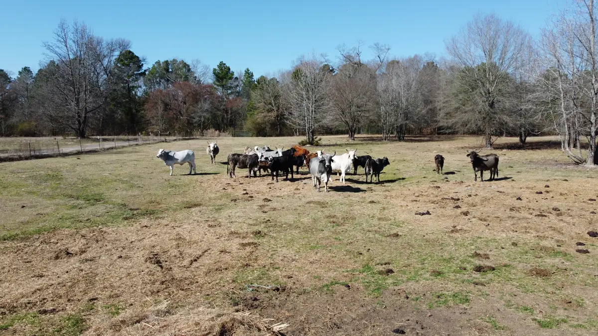 605 CR 2100, Quitman, TX 75783 - #1