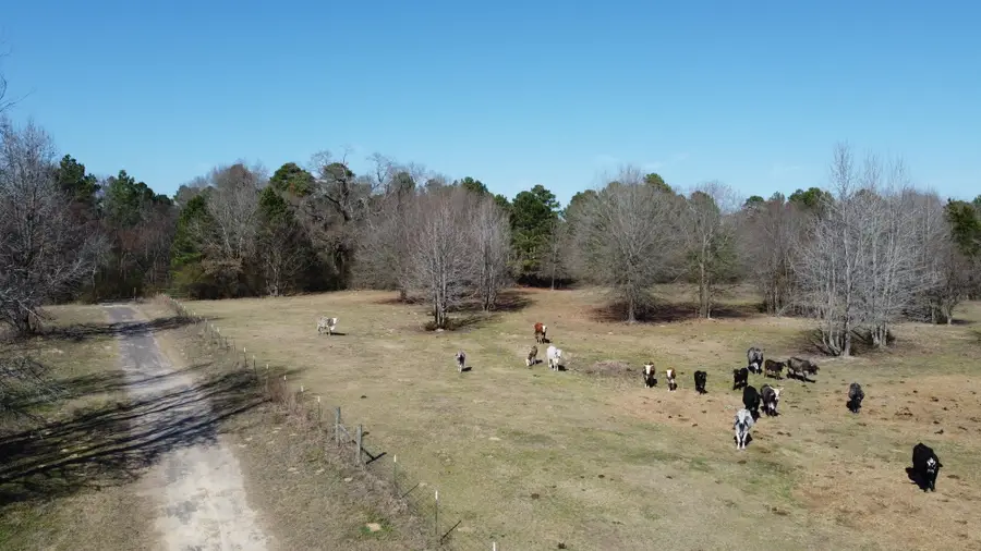 605 CR 2100, Quitman, TX 75783 - #3