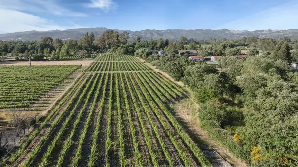 570 E Watmaugh Road, Sonoma, CA 95476