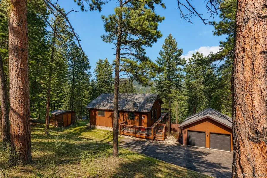 217 Catamount Ridge Road, Bailey, CO 80421 - #2