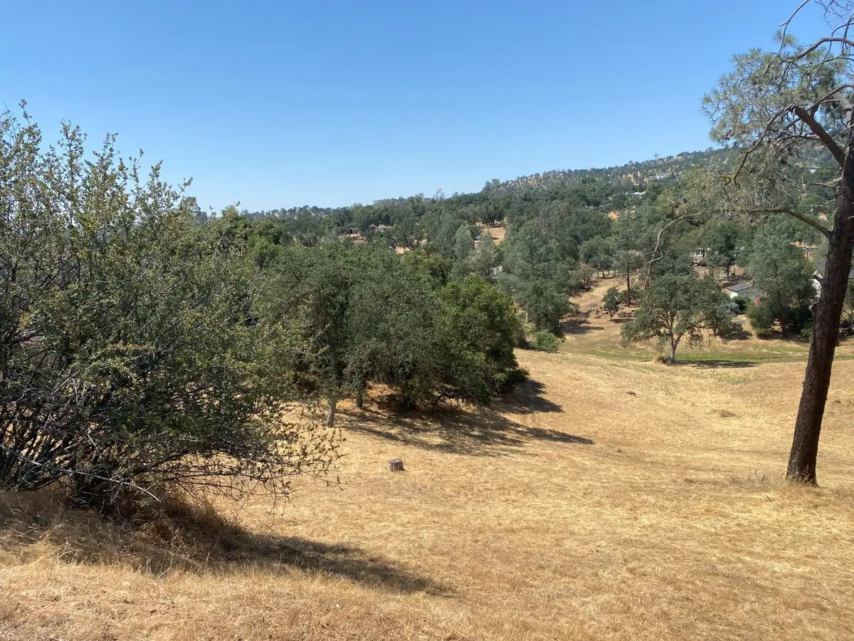 17 Titan Way, Coarsegold, CA 93614 - #1