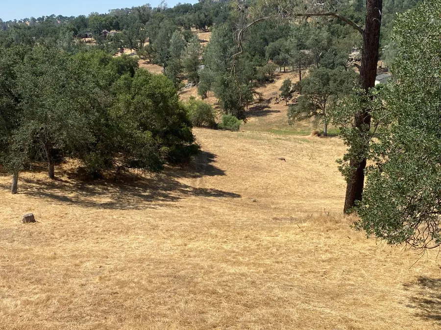 17 Titan Way, Coarsegold, CA 93614 - #3