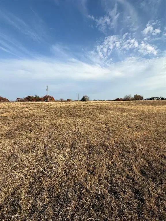 5200 Agnes Circle, Springtown, TX 76082 - #1