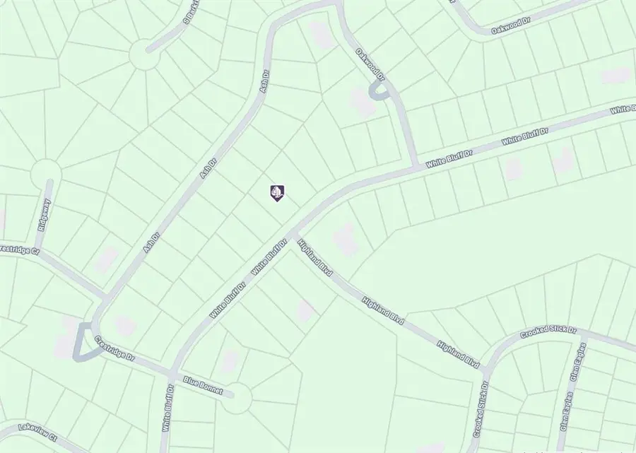 19098 White Bluff Drive, Whitney, TX 76692 - Image #3