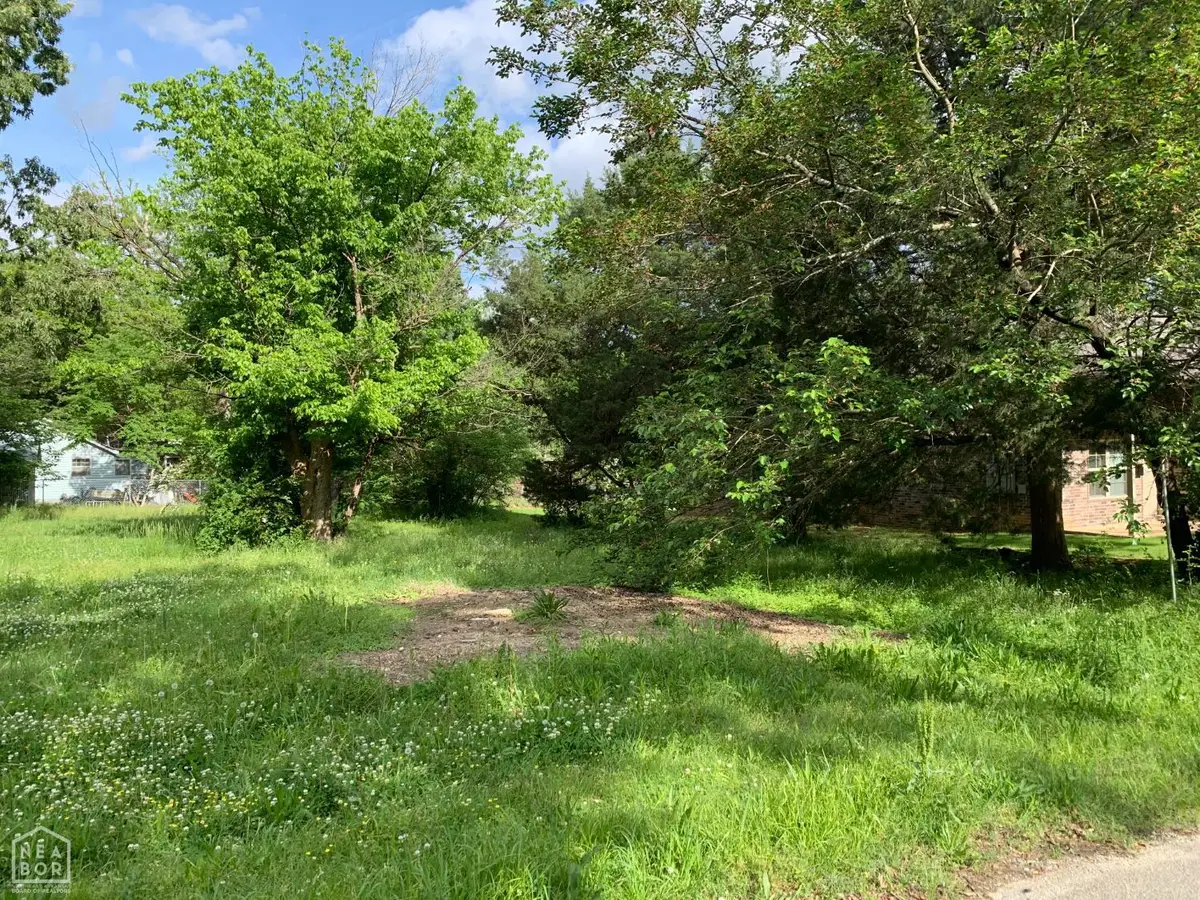 1101 Hope Avenue, Jonesboro, AR 72401 - #1