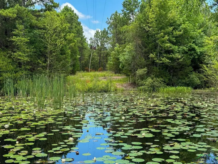 0000 Farm to Market 3421, Lone Star, TX 75668 - Image #3