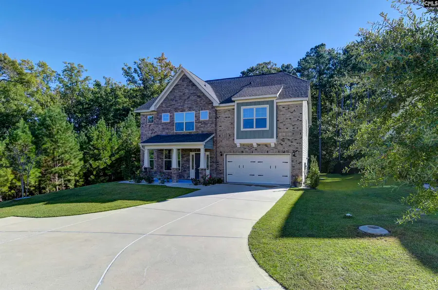 238 Wading Bird Loop, Blythewood, SC 29016 - #3