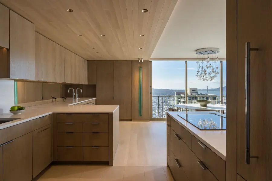 999 Green Street #3001, San Francisco, CA 94133 - #3