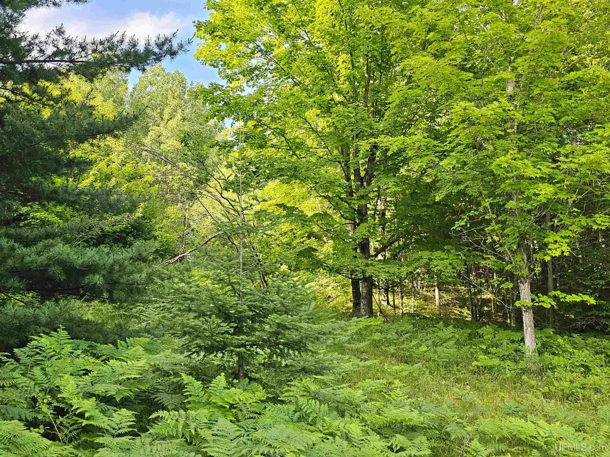TBD Parcel M9 Applewood, Houghton, MI 49931 - #1