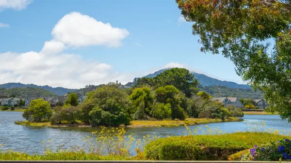 58 Bedford Cove, San Rafael, CA 94901