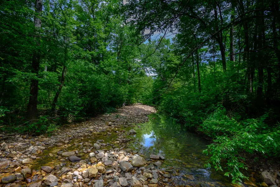 51 Raven Lane, Oden Township, AR 71953 - #3